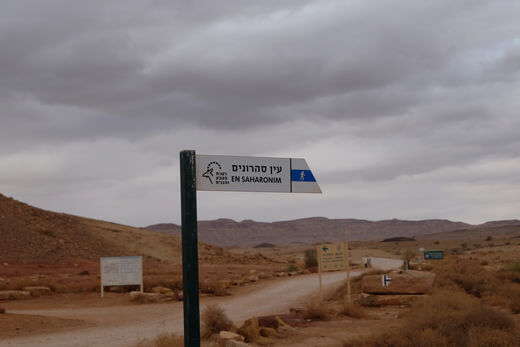 קיה סלטוס מכתש רמון